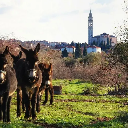 Casa Bel Olivo Casa de Férias