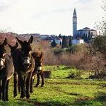 Casa Bel Olivo Vikendica